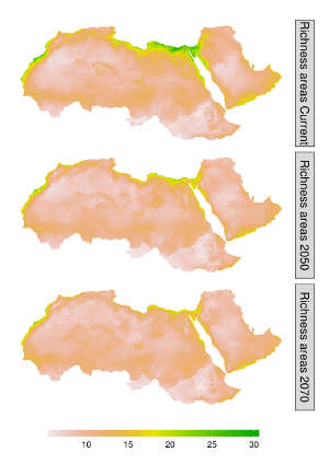 Species richness areas of endemic mammal species in the Afro-Arabian region along three time slices.